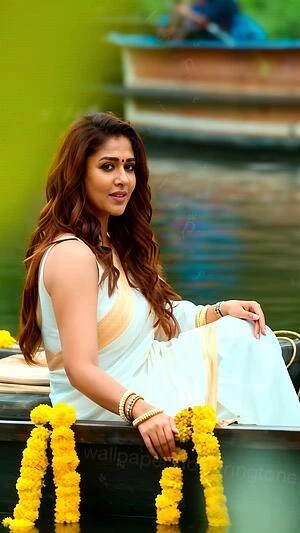 Mana Shankara Varaprasad Garu wallpaper